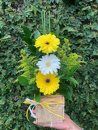 Trio de Gérberas no Cachepô Rustico