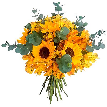 BUQUÊ BOAS ENERGIAS