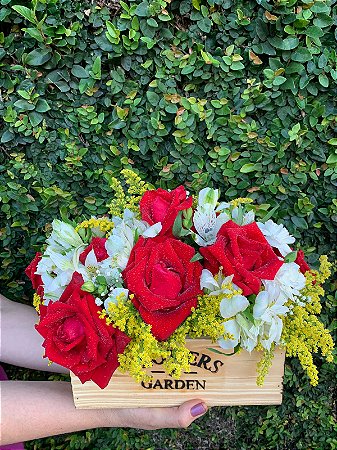 Luxuoso Gardem de rosas e Astromélias