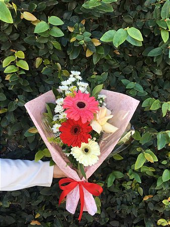 Ramalhete Pesente de Gérberas Coloridas