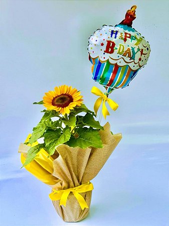 Girassol Plantado Com Balão Happy Birthday