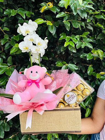 Luxuosa Orquídea Phalaenopsis Branca com Pelúcia & Chocolate