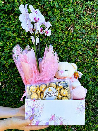 Garden de Orquídea com Pelúcia e Chocolate