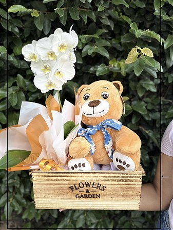 Luxuoso Garden De Orquídea  Com Pelúcia