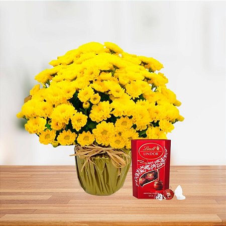 Mini Margarida Amarela Com Chocolate Lindt