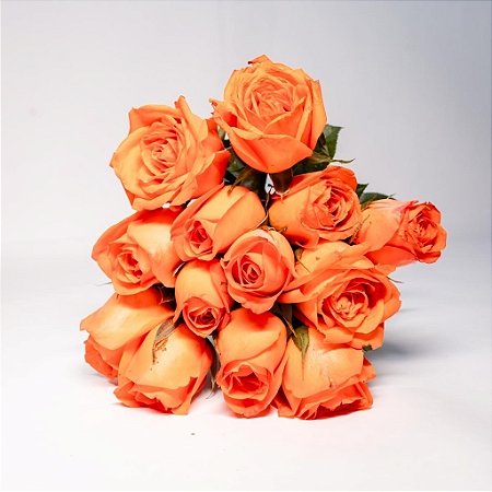 Buquê de 12 Rosas Minimalistas na Cor Laranja
