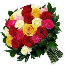 Promoção Especial Buquê de 20 Rosas Minimalistas Coloridas