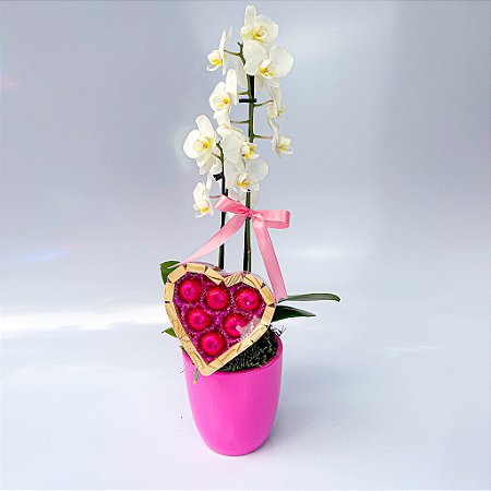 Mini Orquídea no Vaso com Chocolate Bombonatti
