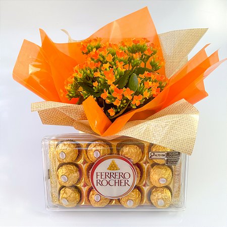 Kalanchoe Laranja com Ferrero Rocher 150g