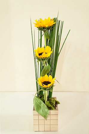 Delicado Trio de Girassol No Cachepô de Madeira