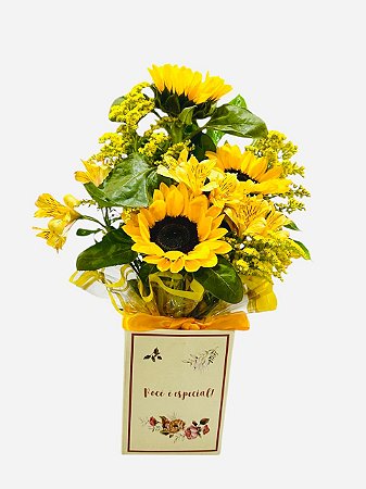 Trio de Girassol no cachepô você e especial Com Astromélias