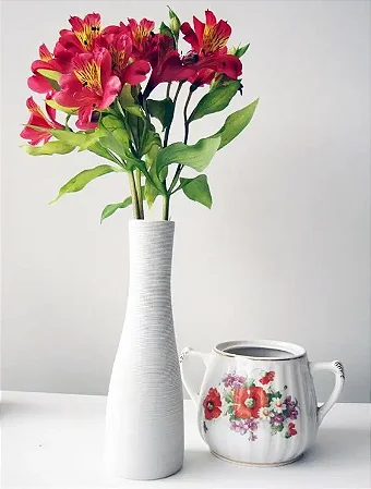 Astromélias Sortidas - UNIDADE