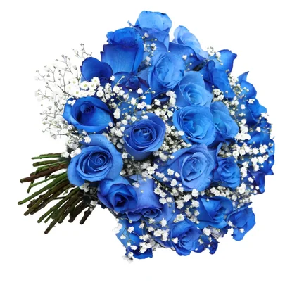Buquê Tradicional de 24 Rosas Azuis