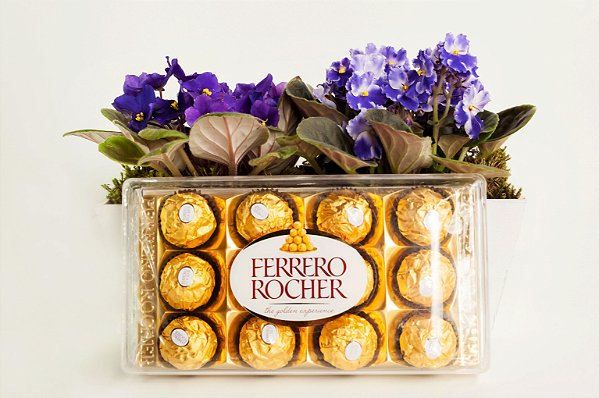 Violetas nobres no cachepô com Ferrero Rocher