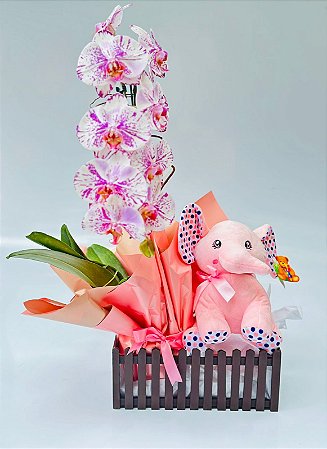 Kit Maternidade - Orquídea com Pelúcia