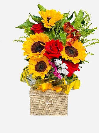 Encanto Solar: Girassol & Rosas no Cachepô