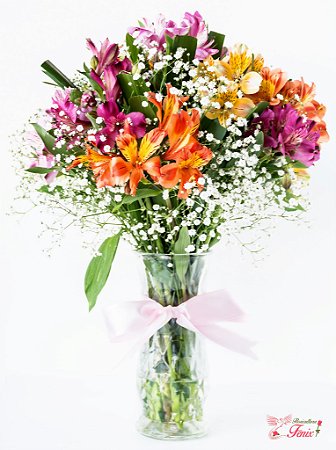 Luxuosas Astromélias Coloridas  Com Egípcios