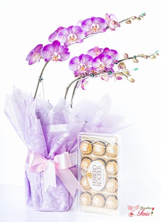 Orquídea Phalaenópsis com Ferrero Rocher