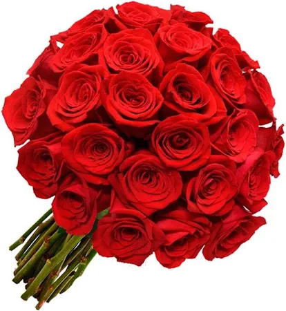 "Sinfonia de Amor – Buquê com 50 Rosas Colombianas"