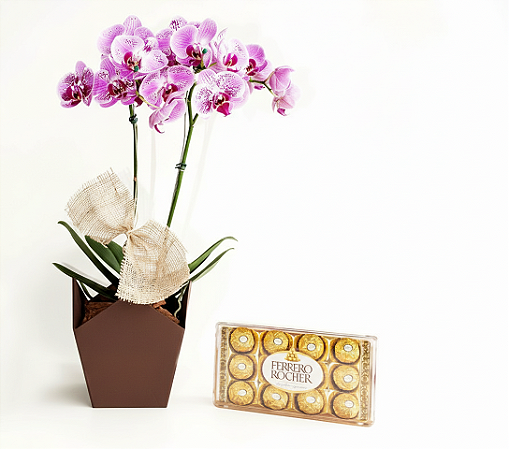 Orquídea Phaleonopsis Exótica com Chocolate Ferrero Rocher