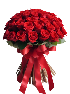 Buquê Fascinante de 24 Rosas Colombianas