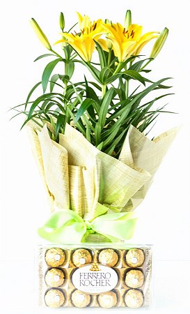 Lírio Amarelo com Ferrero Rocher