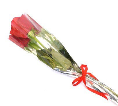 Botão de rosas vermelha premium - Fênix Floricultura - Flores e presentes