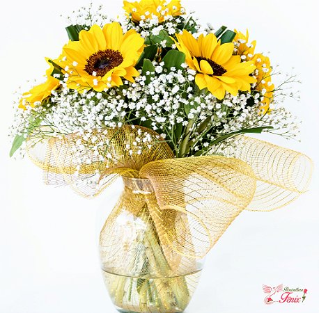 Luxuoso Arranjo de Girassóis com Gipsofilas