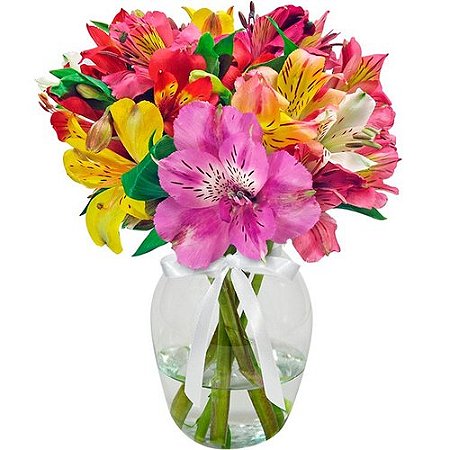 Arranjo Mix de Astromélias Coloridas