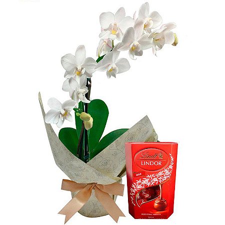 Mini Orquídea Rara e Lindt 37g