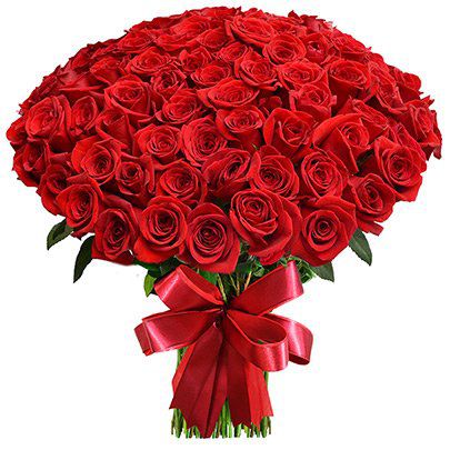 Mega Buquê de 100 Rosas Colombianas Vermelhas