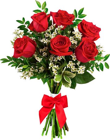Buquê de 6 Rosas Vermelhas Colombianas - Fênix Floricultura - Flores e  presentes