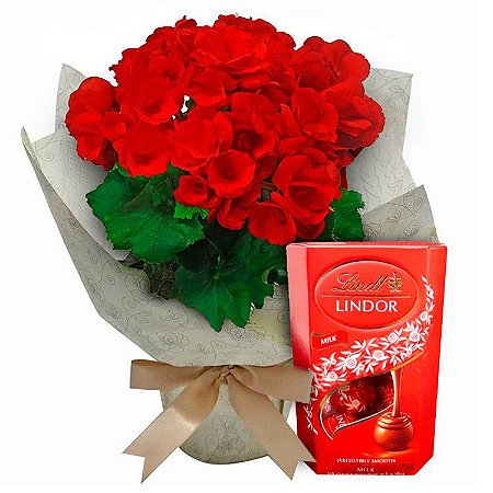 Begônia Grande Vermelha ou Rosa com Lindt 37g