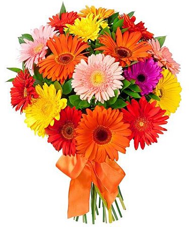 Buquê de Gerberas Coloridas com 12 unidades - Fênix Floricultura - Flores e  presentes
