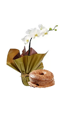 Orquidea Branca com Bolo de Chocolate