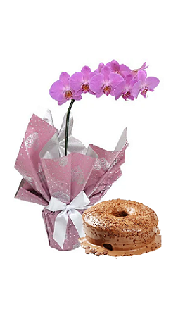 Orquidea Pink Com Bolo de Chocolate