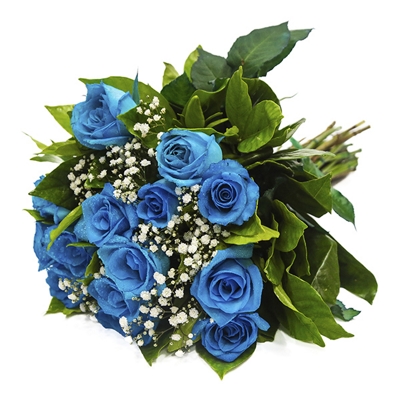 Buquê de 12 Rosas Azul com Egípcios