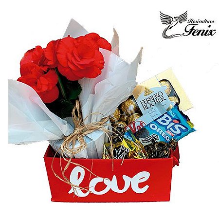 Kit Love com Mini Begonia