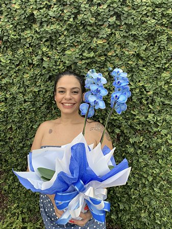 Orquídea Azul Mistico