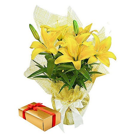 Lirio Amarelo Plantado com caixa de Chocolate