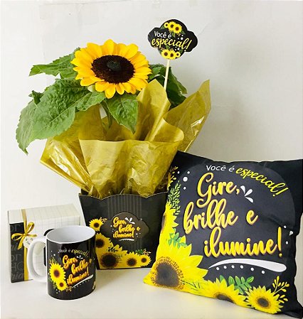 KIt Gire, brilhe e ilumine Com Girassois