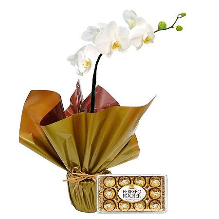 Orquídea phalaenopsis plantada e ferrero 150g
