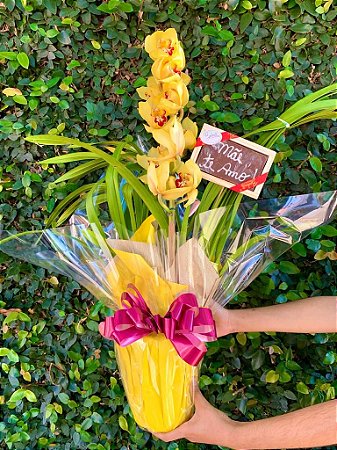 Luxuosa Orquídea Cymbidium com Chocolate "eu Te amo''