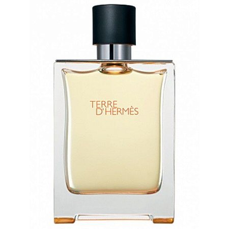 Terre d'Hermès Eau De Toilette - Perfume Masculino 100ml