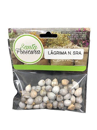 Erva - Lágrima De N. Sra.