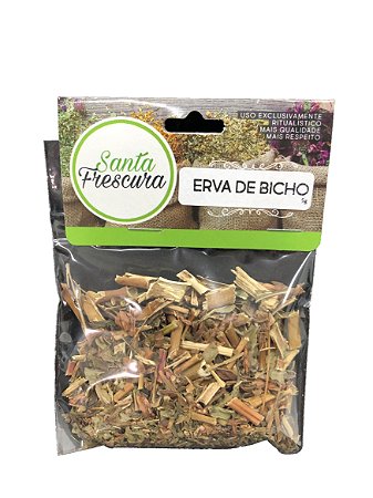 Erva - Erva de Bicho