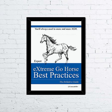 Quadro eXtreme Go Horse Best Practices A4
