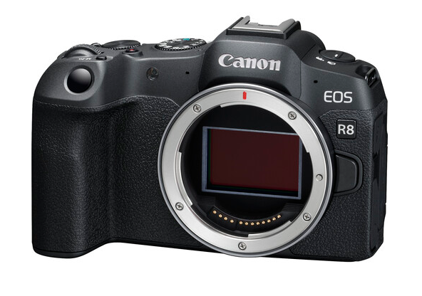 Câmera CANON EOS R8