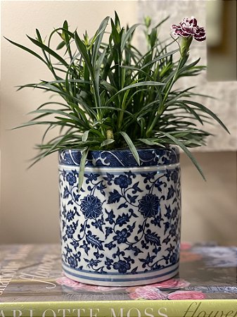 Cachepot em Ceramica - Azul e Branco - 12CM