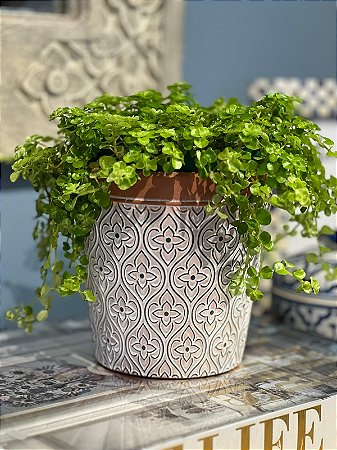 Cachepot em Ceramica - Branco - Relevo - 13,5 X 13,5